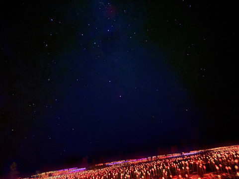 Field of Light-乌鲁鲁-卡塔丘塔国家公园必去景点