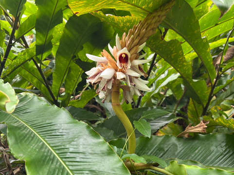 Cat Ba Ventures-卡巴必去景点