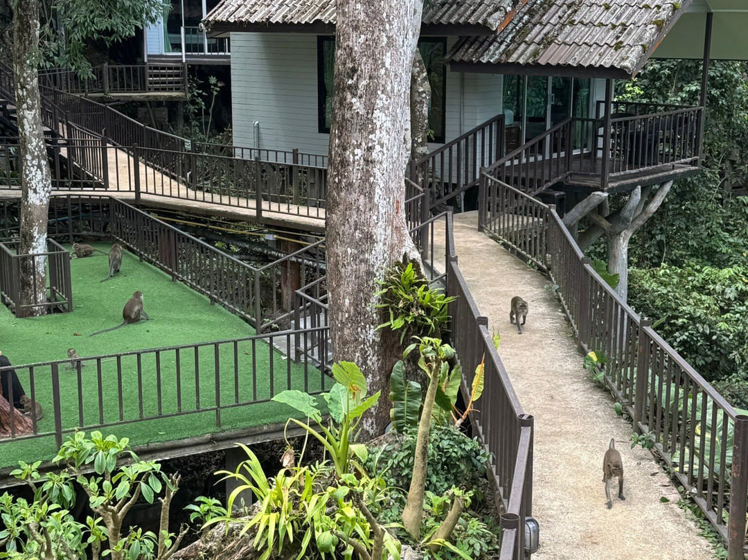 Go Travel Phuket-普吉岛必去景点