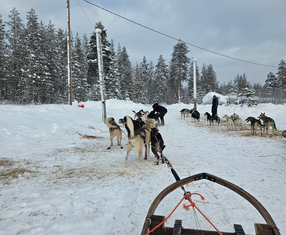 哈士奇雪橇之旅-罗瓦涅米必去景点
