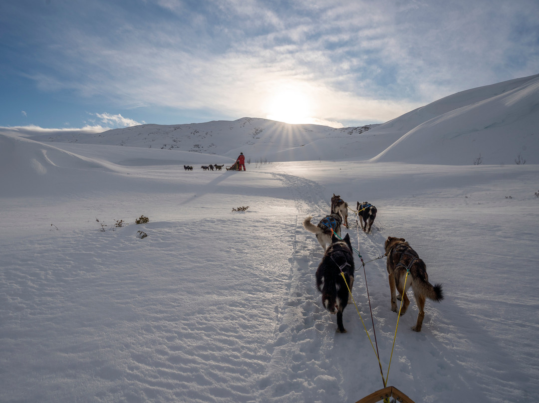 OffTrack Experience-Overbygd必去景点