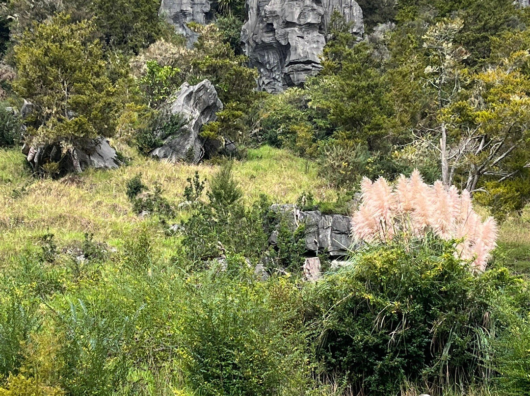 Kawiti Glow Worm Caves-Kawakawa必去景点
