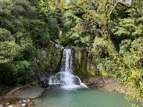 Waiau Falls Walk-Waiau必去景点