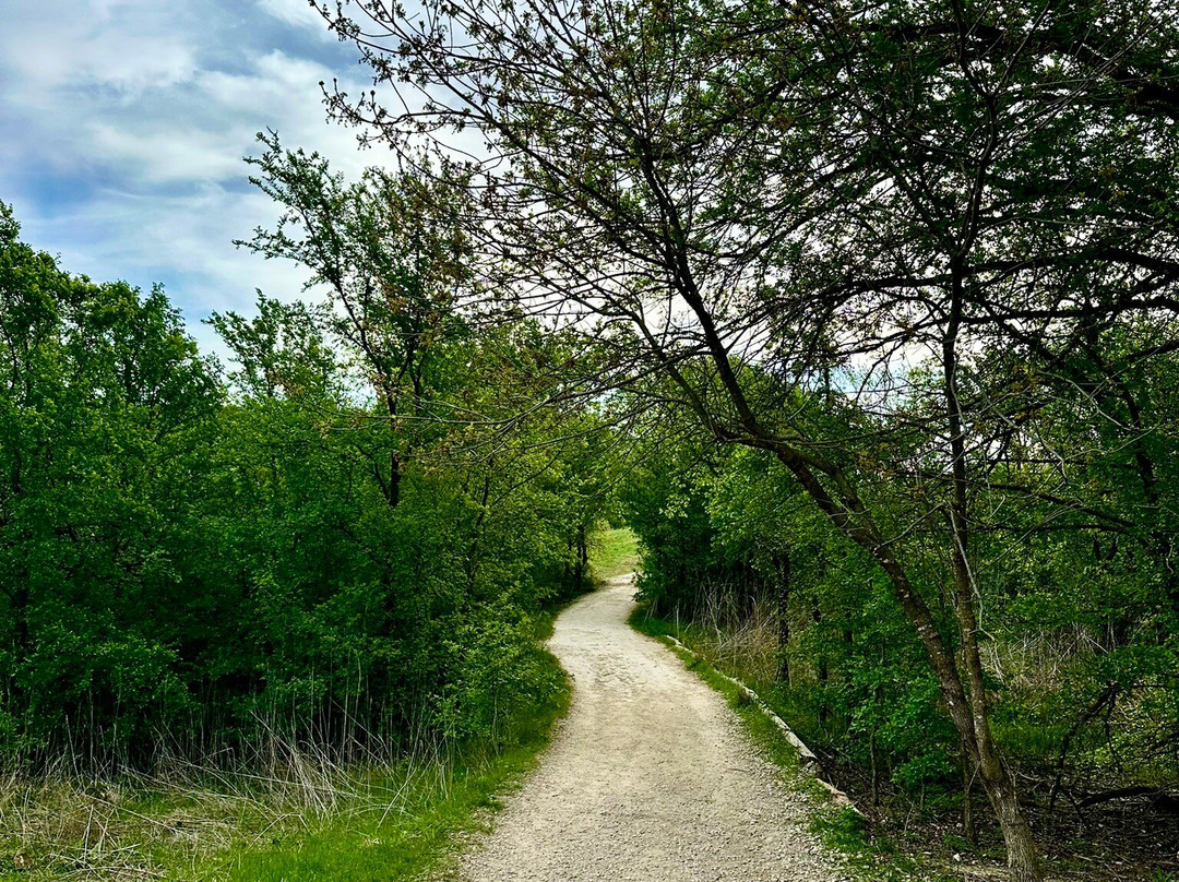 Cedar Ridge Preserve managed by Audubon Dallas.-达拉斯必去景点