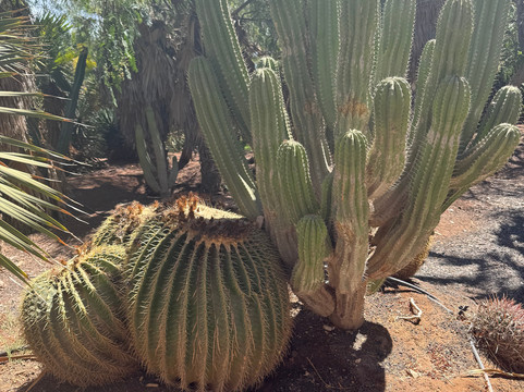 Viveiro, Botanical Garden & Zoo di Terra-圣塔玛丽亚必去景点