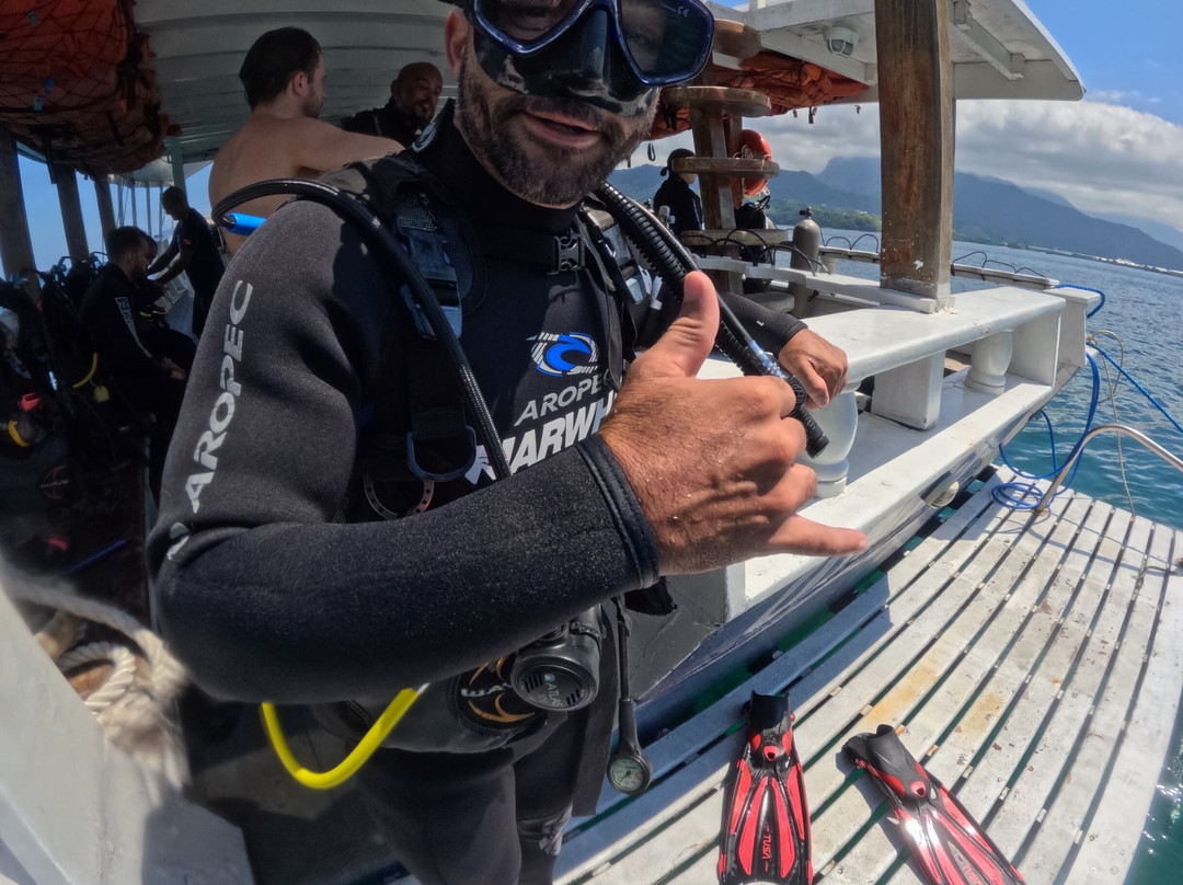 Narwhal-伊利亚贝拉必去景点