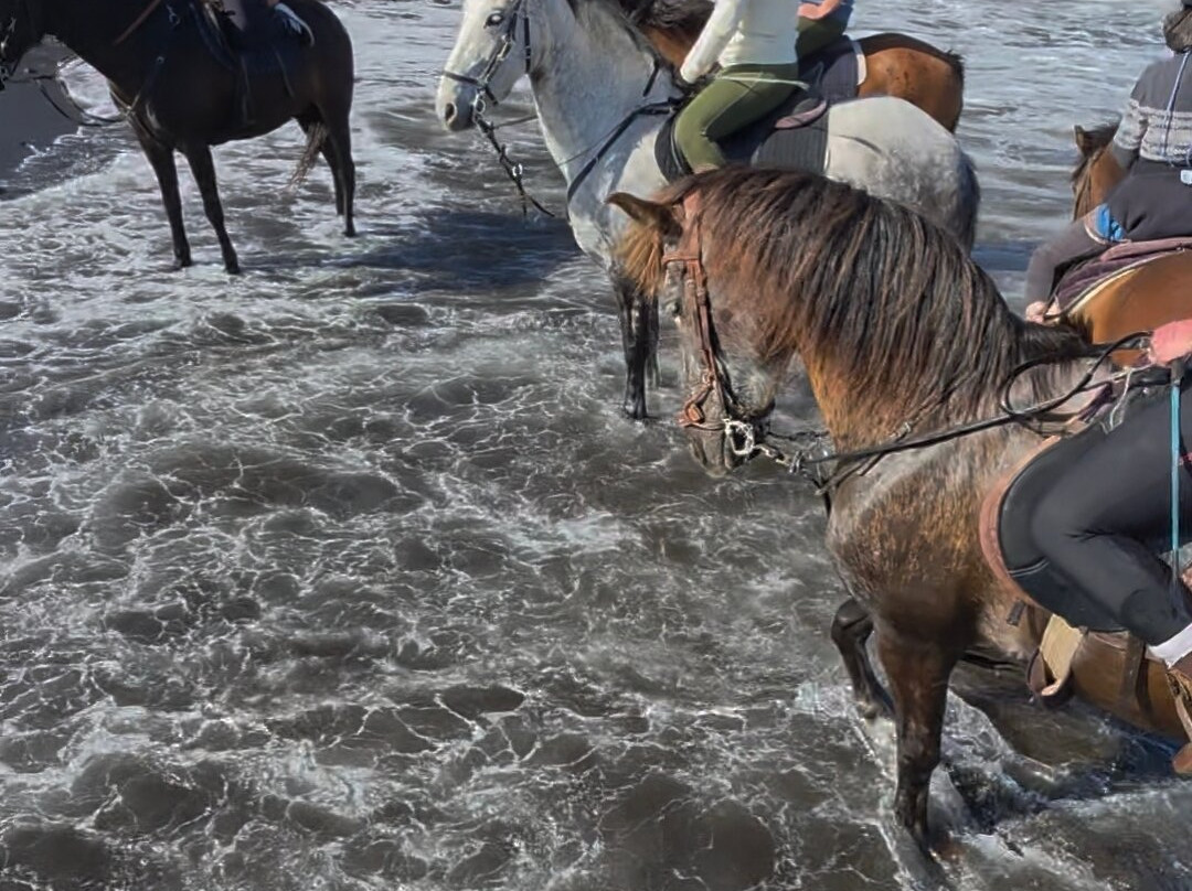 Lanzarote a Caballo-兰萨罗特必去景点