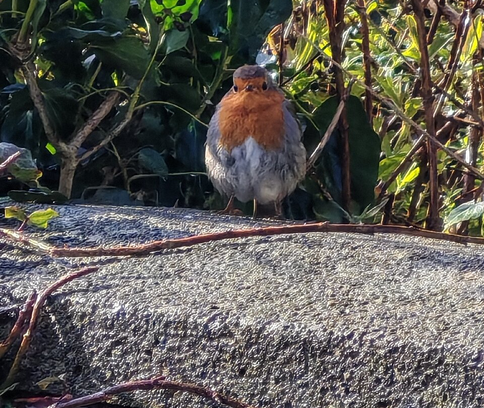 波廷斯凯尔-戴尔加斯之家主图