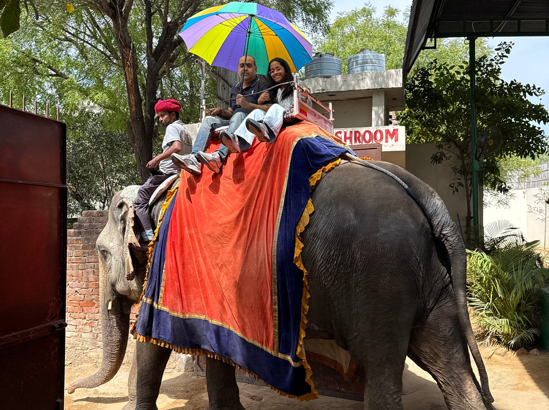 Aman Tours Jaipur-斋蒲尔必去景点