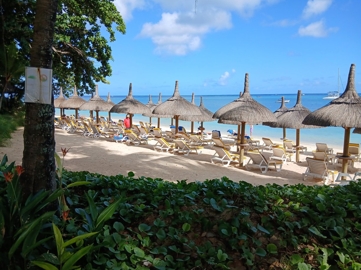 木麻黄酒店-官方