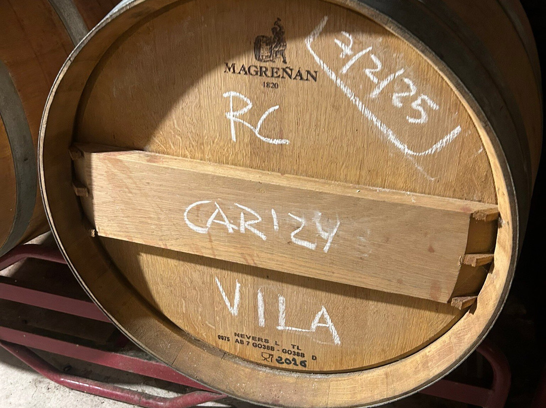 Celler Devinssi-Gratallops必去景点