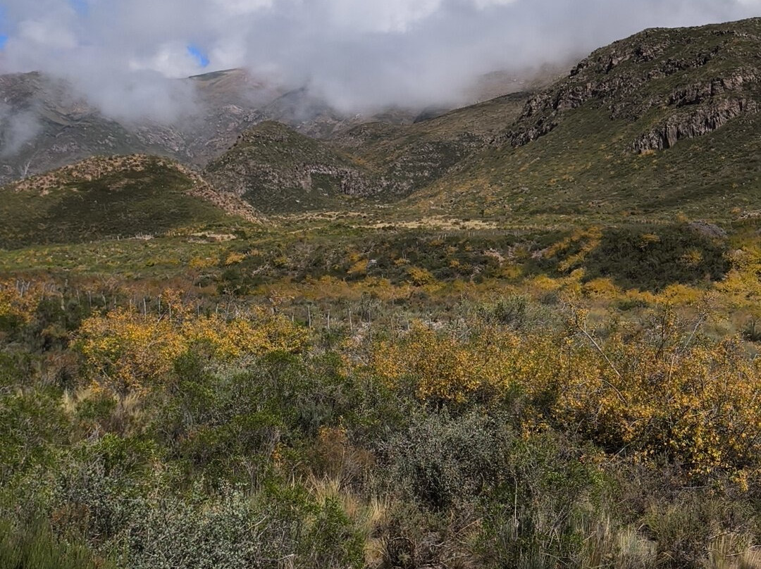 Cabalgatas Mendoza: Los Chacayes-门多萨必去景点
