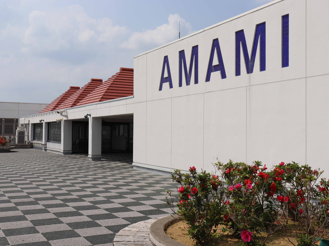 Amami Airport Visitors Deck-奄美市必去景点