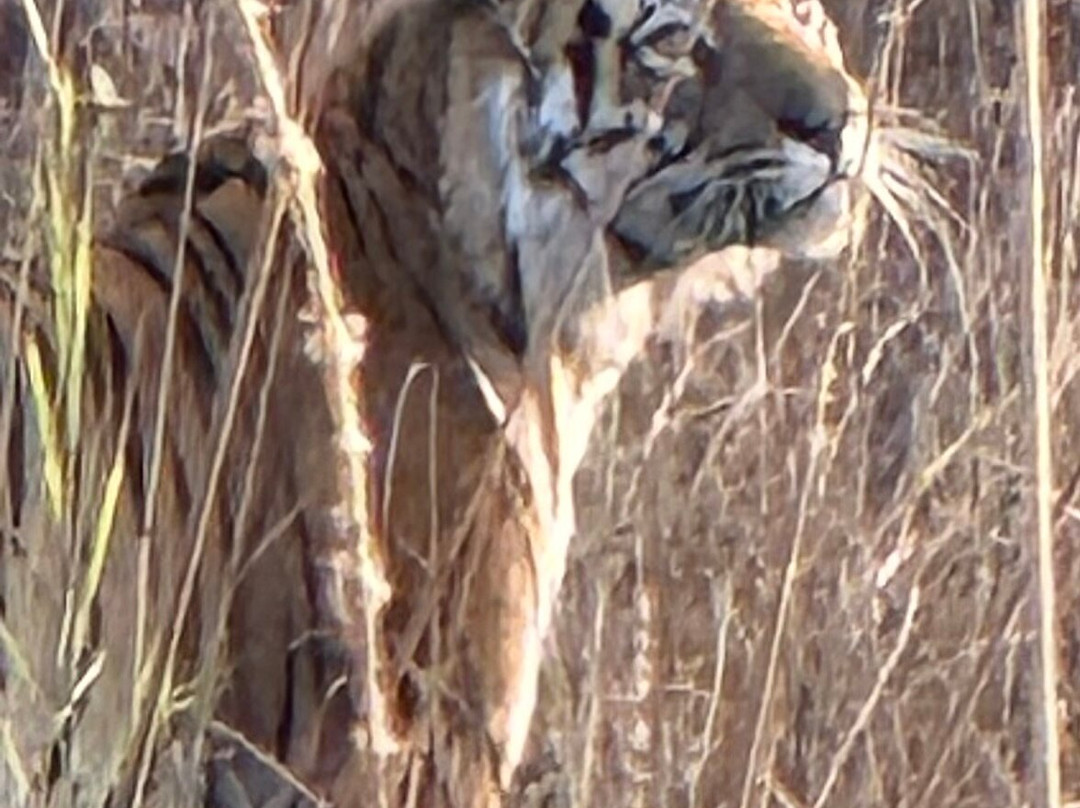 Alternative Tours-布巴内斯瓦尔必去景点