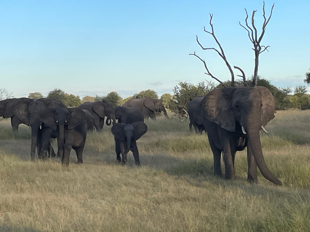 Camelthorn Lodge主图