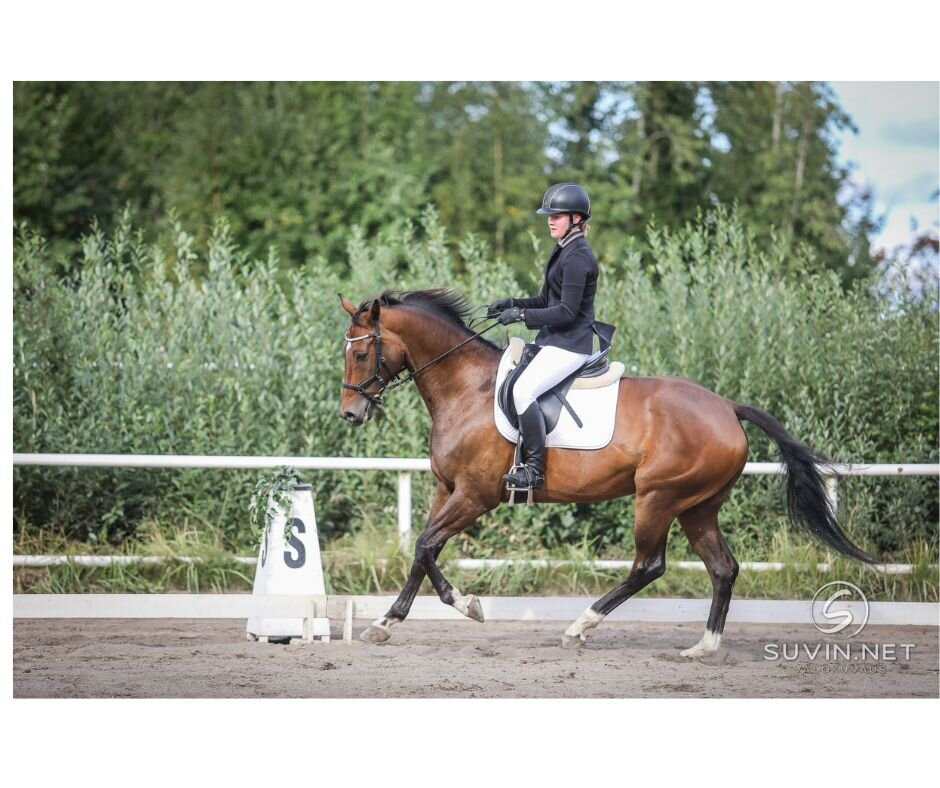 Ratsastus & Vikellys Rasipelto