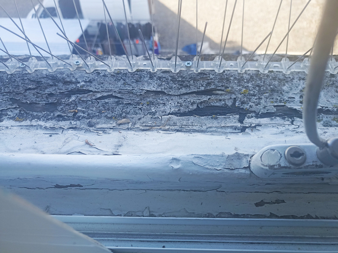 威瑟斯普恩希瑞屯斯酒店主图