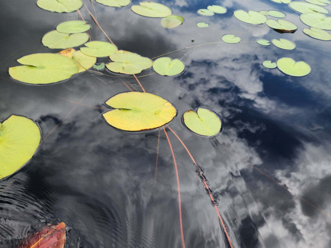 Fazenda Marimbus-迪亚曼蒂那国家公园必去景点