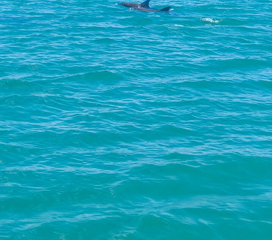 Vava Voom-巴拉克拉瓦必去景点