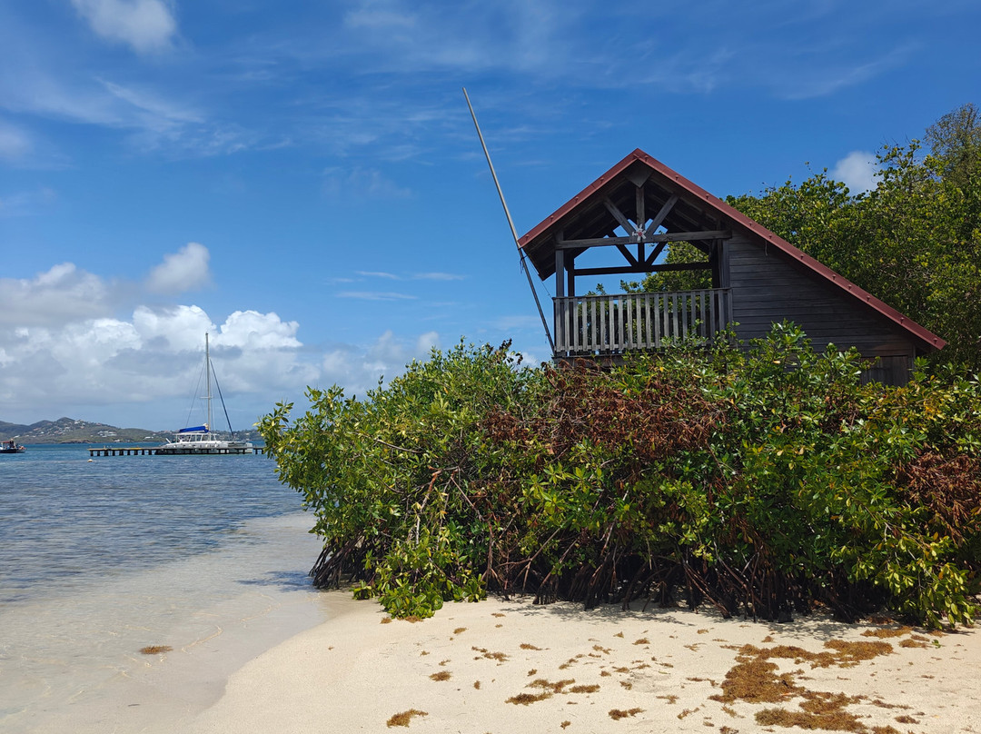 Catamaran Bwa Drese-Le Robert必去景点