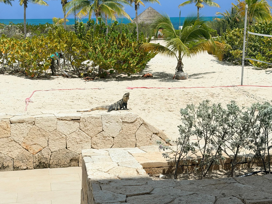 女人海滩壮丽优雅酒店-全包主图