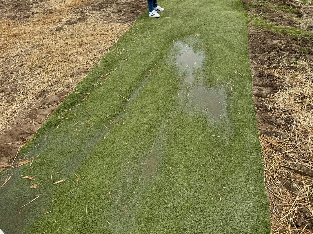 Krewelshof-Lohmar必去景点