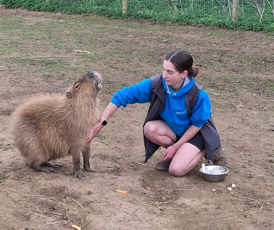 Bridlington Animal Park-布里德灵顿必去景点