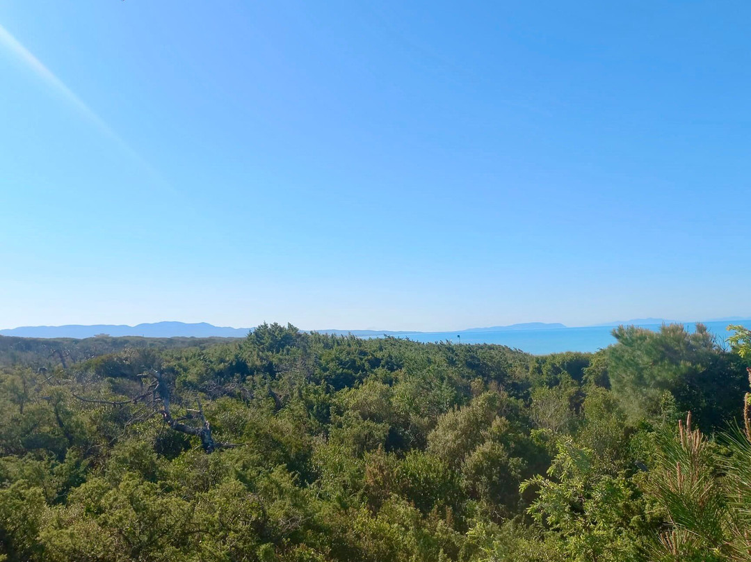 Riserva Naturale Tombolo di Cecina-Marina di Cecina必去景点