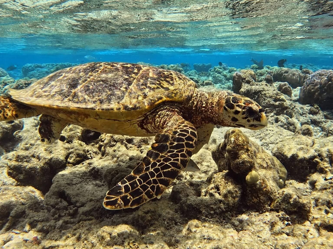 米拉门胡岛水疗度假村主图