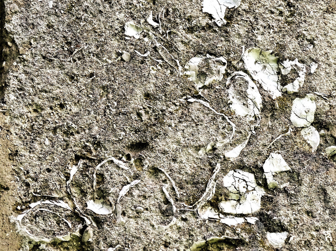 Rundkapelle hl. Johannes der Täufer-Petronell-Carnuntum必去景点