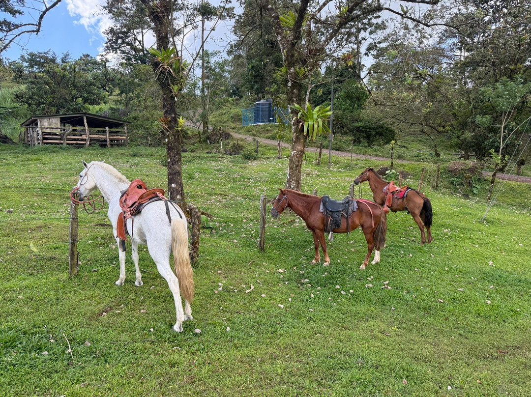 Blue River Resort & Hot Springs主图