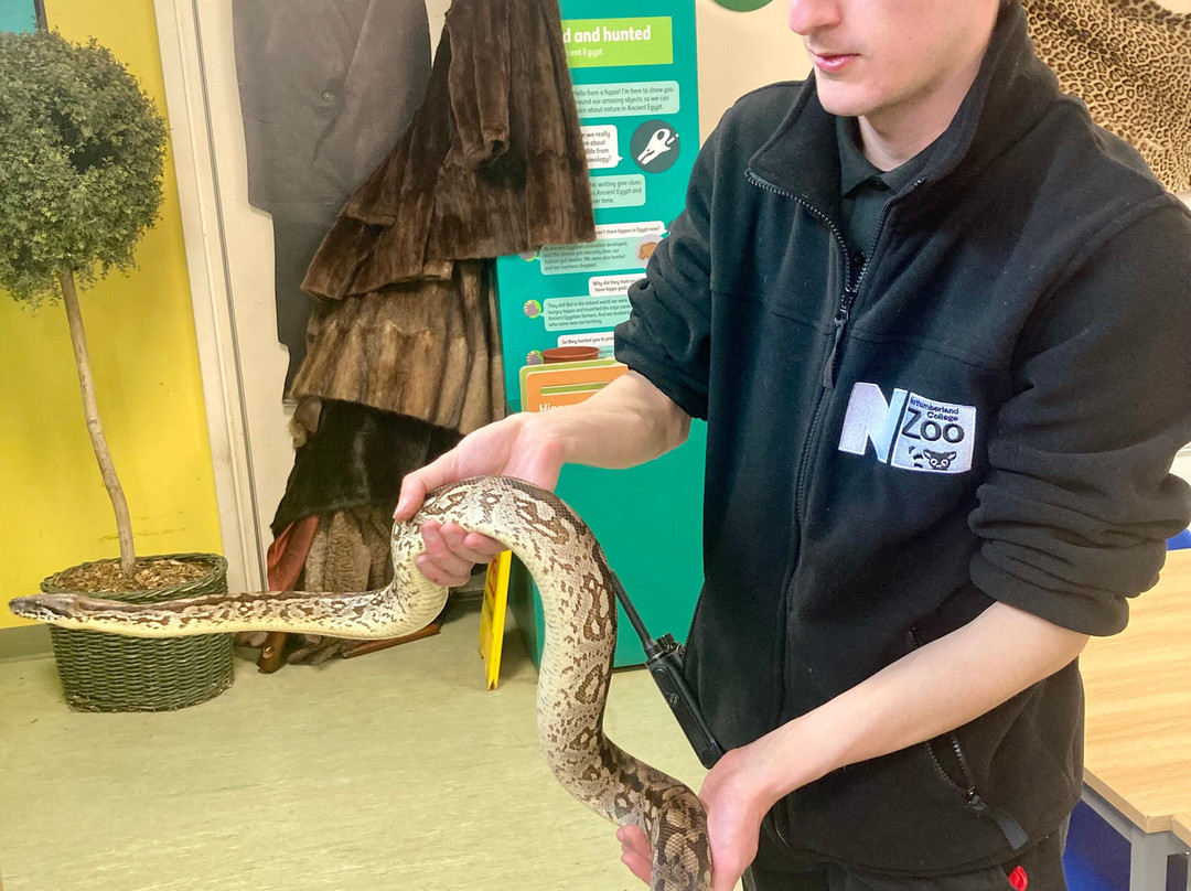 Northumberland College Zoo-Ponteland必去景点