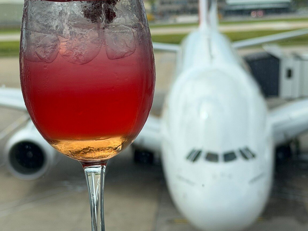 Plaza Premium Lounge Gatwick North Departures-霍利必去景点
