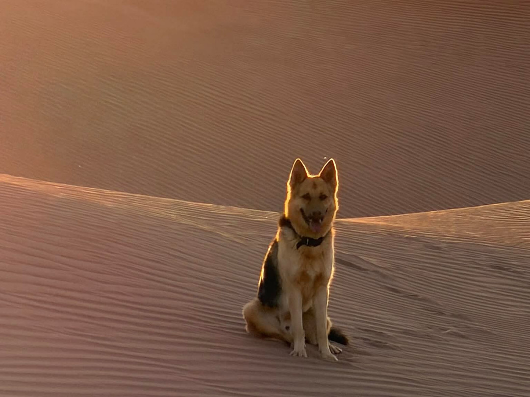 Bivouac Nour-迈哈米德必去景点