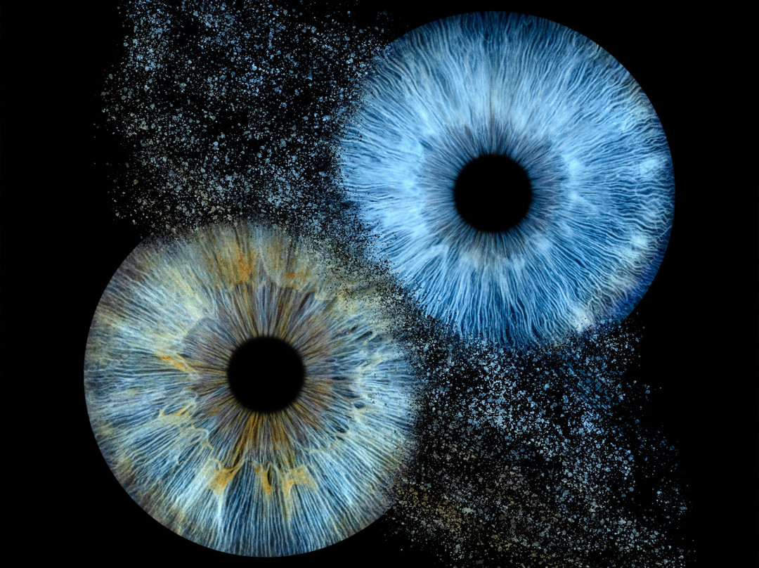 Iris Galerie Gent-根特必去景点