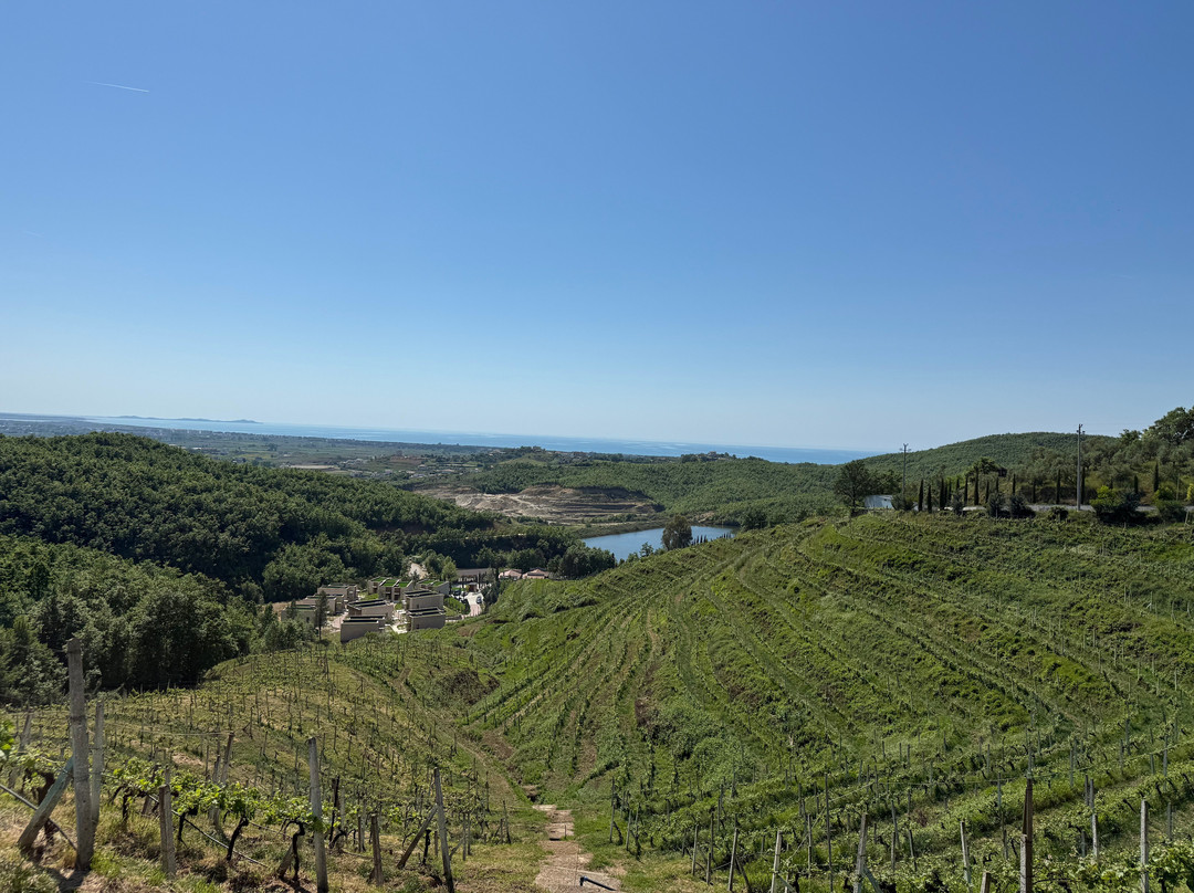 Duka Winery & Vineyard-杜勒斯必去景点