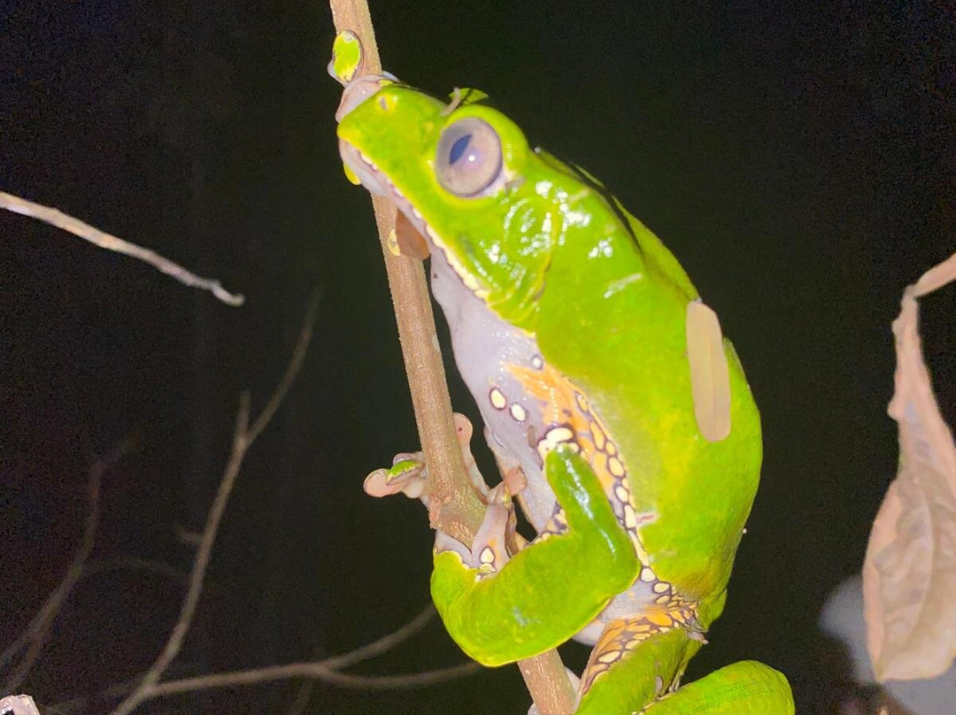 Amaselva Tours - Colombia Amazon-Puerto Narino必去景点