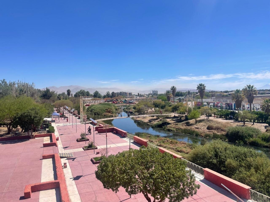 Parque El Loa-Calama必去景点