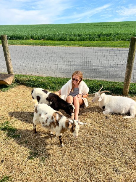 Rocky Acre Farm B&B-旅行者