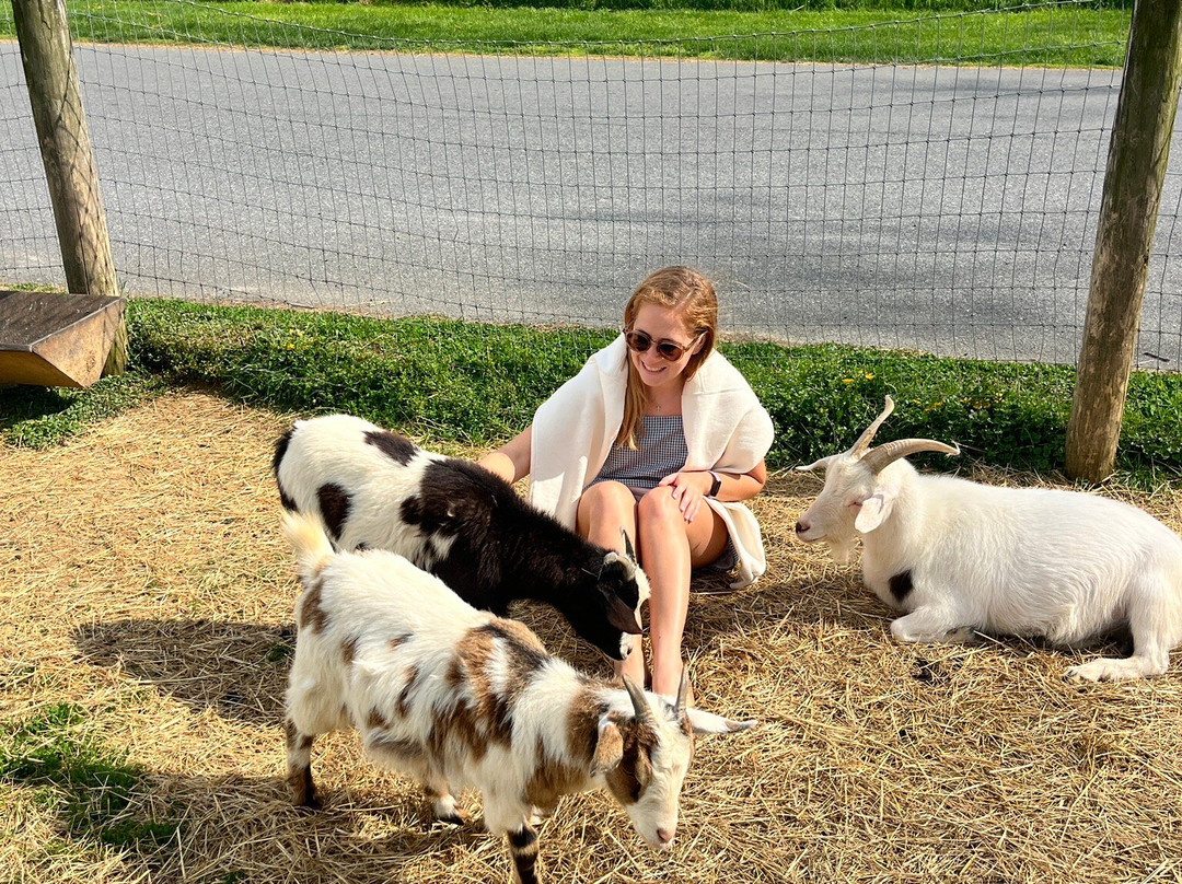 Rocky Acre Farm B&B主图