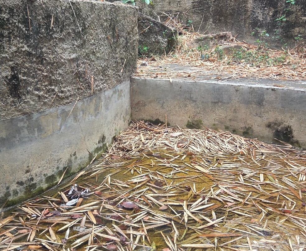 Zoologico de Vallarta-Mismaloya必去景点