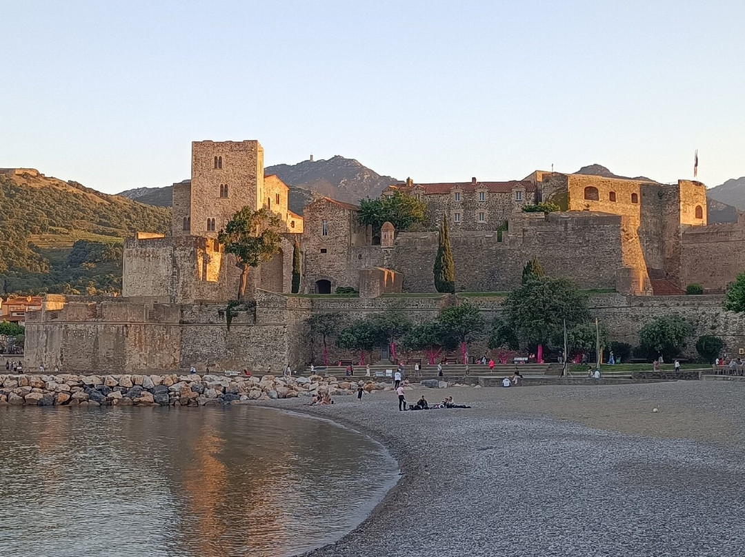 Plage de Collioure-科利乌尔必去景点