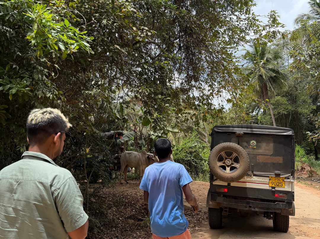 Compass Lanka Tours-Yakkala必去景点