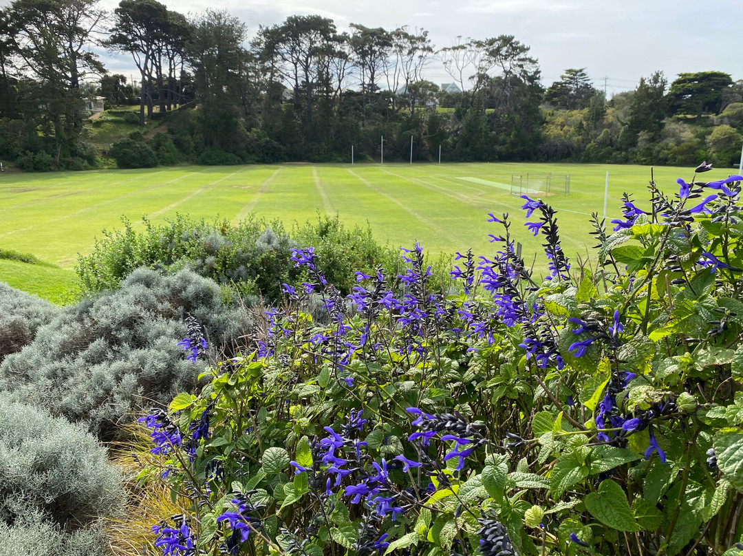 Percy Cerutty Oval (portsea Reserve)-波特西必去景点