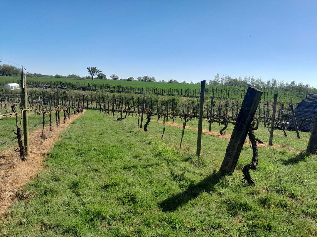 Valley Farm Vineyards-Wissett必去景点