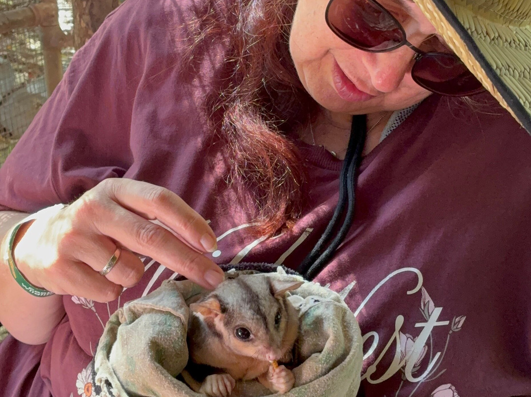 Cooberrie Park Wildlife Sanctuary-Yeppoon必去景点