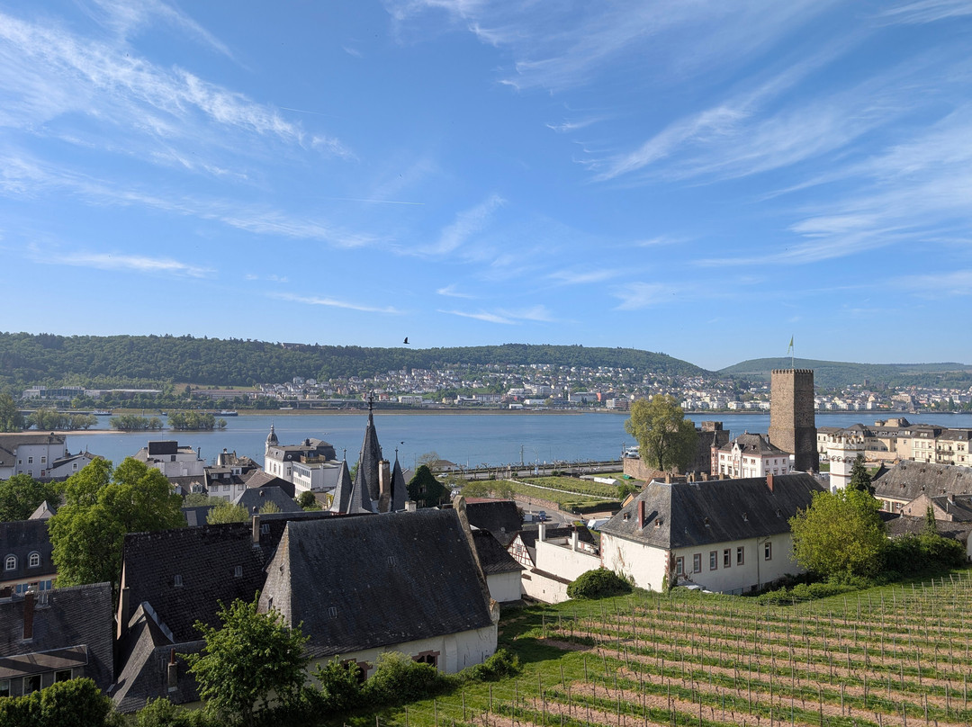 Seilbahn Rudesheim-吕德斯海姆必去景点