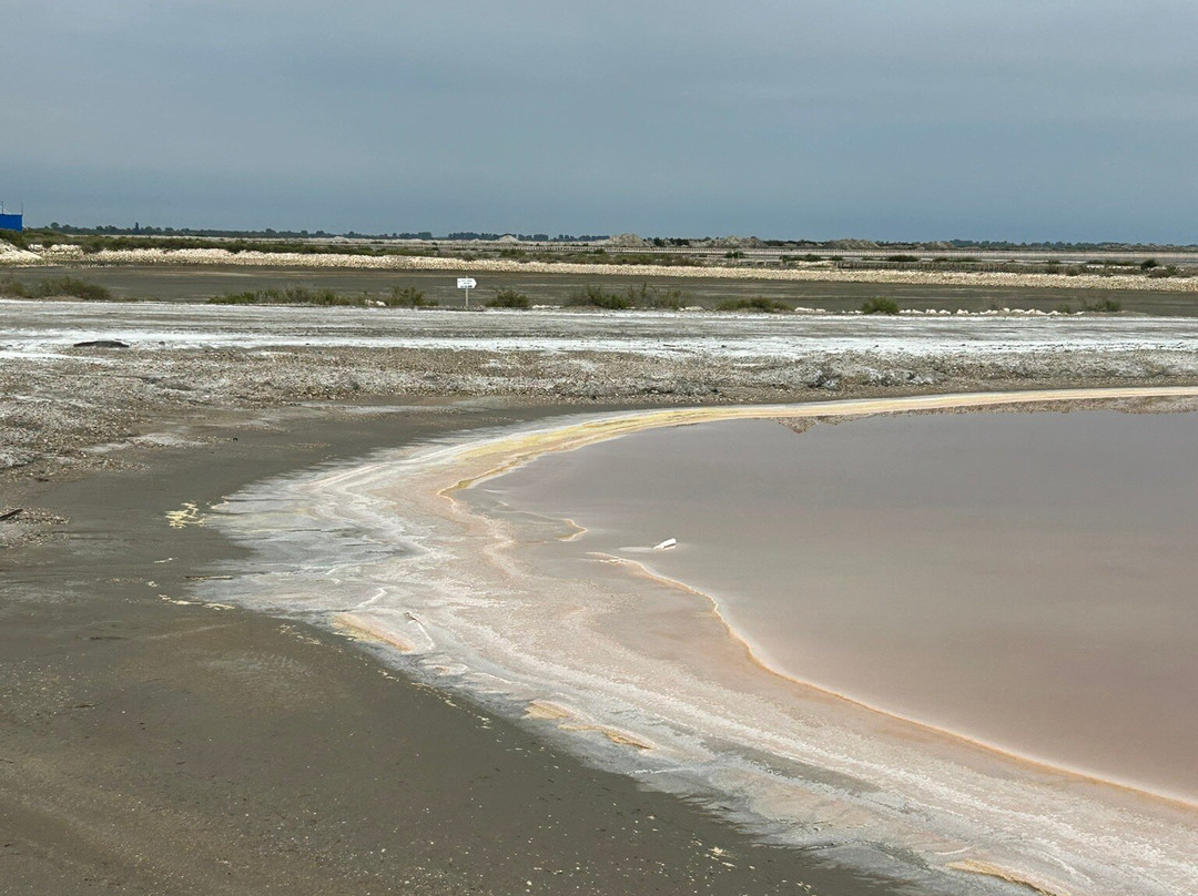 Salin d'Aigues-Mortes-艾格莫尔特必去景点