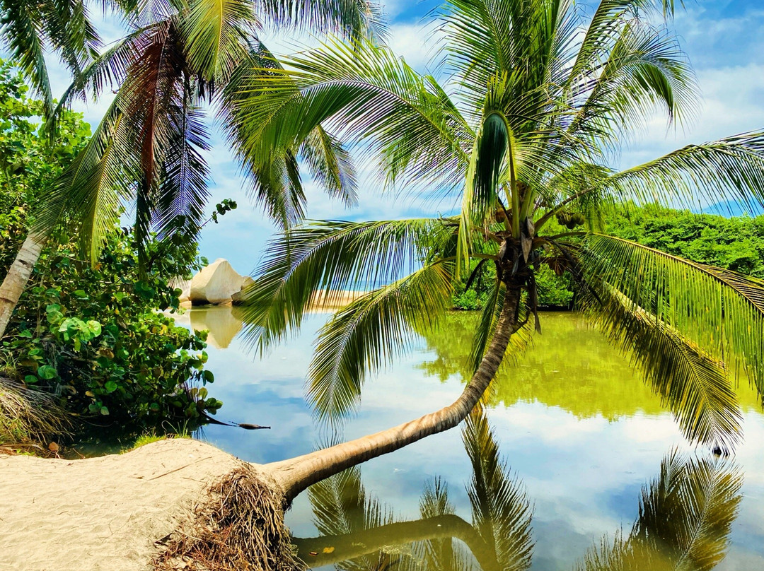 Parque Nacional Natural Tayrona-Tayrona National Park必去景点