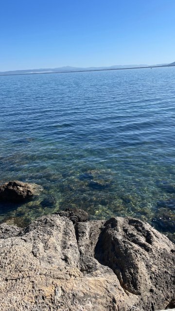 Villa Flora Argentario-旅行者